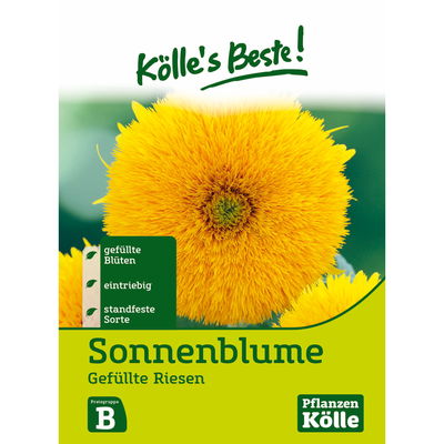 Kölles Beste Blumensamen Sonnenblumen Gefüllte Riesen (Helianthus) Kölles Beste Blumensamen Sonnenblumen Gefüllte Riesen (Helianthus)