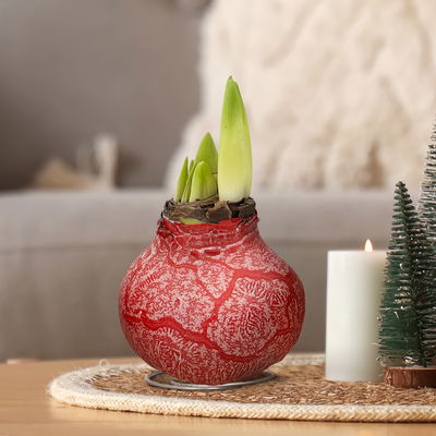Amaryllis in Wachs XL, Dekor 'Red Mix' Farbe zufällig, Blüte rot