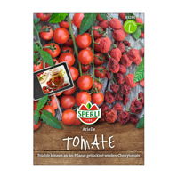 Gemüsesamen, Cherry-Tomate 'Arielle'