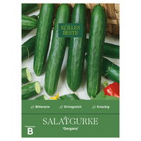Kölles Beste Saatgut Salatgurke 'Gergana', grün Kölles Beste Saatgut Salatgurke 'Gergana', grün