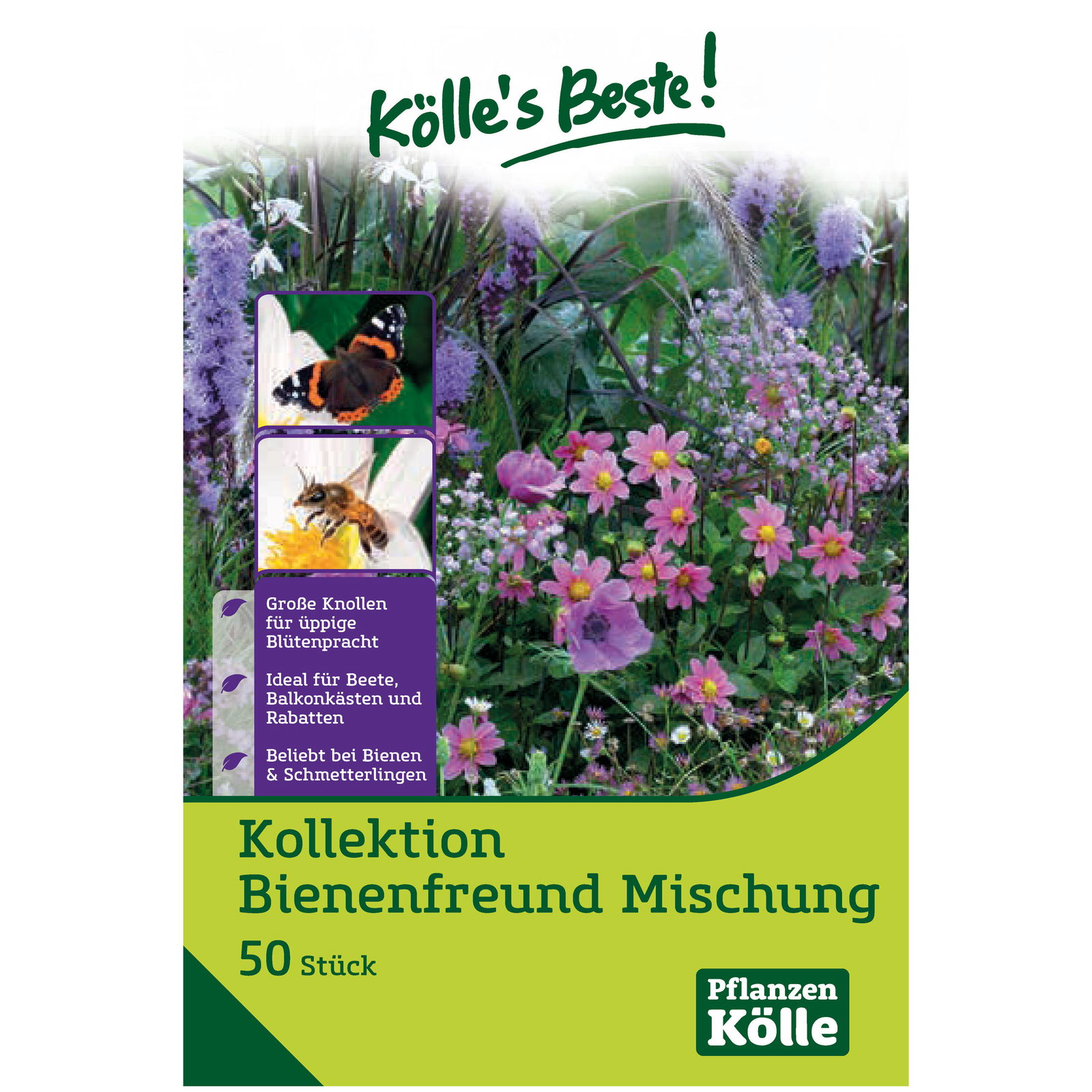 Kollektion Bienenfreund , rot-rosa, 40 Blumenzwiebeln