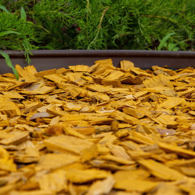 Plantop Dekormulch, goldgelb, 39 Sack á 50 l, gesamt 1950 Liter