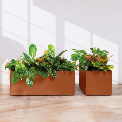 Euro 3 Plast Pflanzkasten 'Kebe', fuego, ca. 99,5 x 39,5 x H 39,5 cm