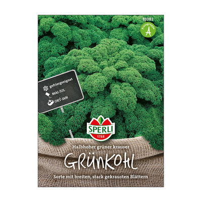 Gemüsesamen, Grünkohl 'Halbhoher Grüner Krauser'