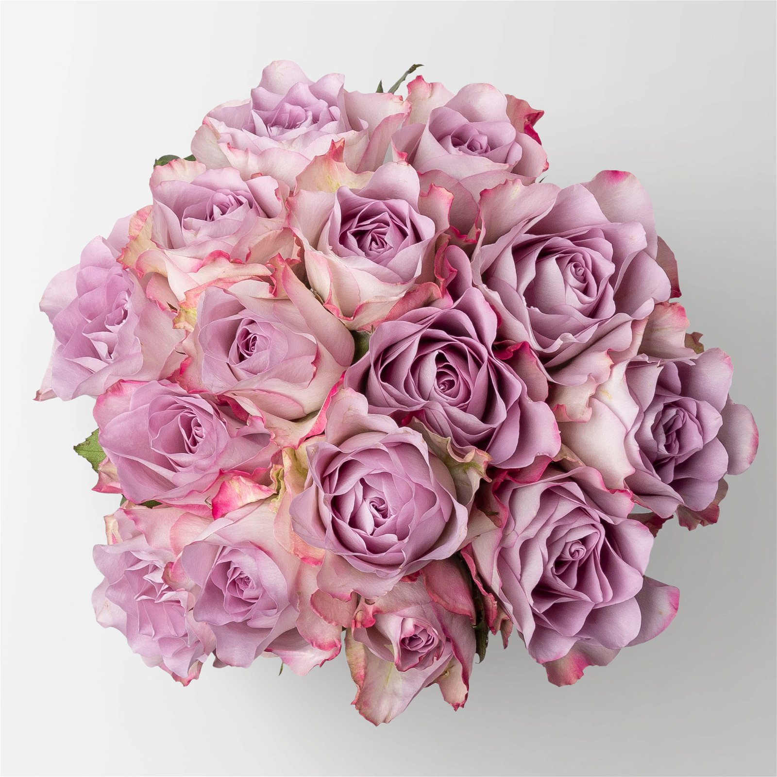 Blumenbund mit Rosen %27Memory Lane%27, lila, 15er-Bund, inkl. gratis Grußkarte