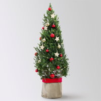 Weihnachtsbäumchen inkl. Deko, rot-gold, Höhe 120 cm, Topf-Ø 26 cm Weihnachtsbäumchen inkl. Deko, rot-gold, Höhe 120 cm, Topf-Ø 26 cm