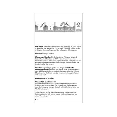 XXL Gladiolen Mischung, 30 Blumenknollen