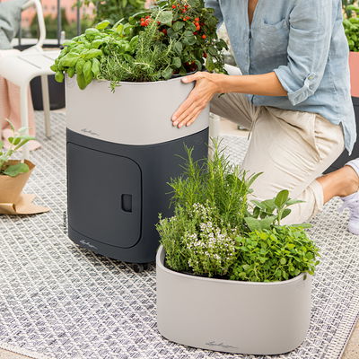 Lechuza 'Pila Color', sandbraun, ca. 35 x 35 x H 16,5 cm