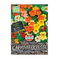 Blumensamen, Kapuzinerkresse 'Diamant des Abendlandes'
