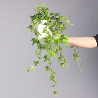 Hedera helix in Keramiktopf Dallas weiß, Topf-Ø 12/13 cm, 3er-Set Hedera helix in Keramiktopf Dallas weiß, Topf-Ø 12/13 cm, 3er-Set