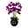 Künstliche Orchidee, Phalaenopsis, 7 Rispen, lila Blüten, ca. 95 cm, 30 x 25 cm Kunststofftopf schwarz