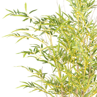 Kunstpflanze Miniblatt-Bambus, Höhe ca. 150 cm