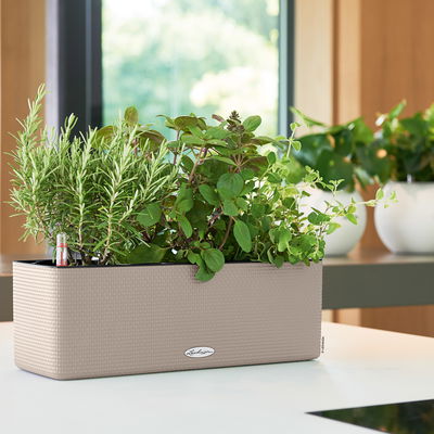 Lechuza 'Cube Color Triple', sandbraun, ca. 40 x 14 x H 13,5 cm