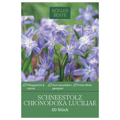 Schneestolz, Chionodoxa Luciliae, 50 Blumenzwiebeln, blau, Größe 5/+