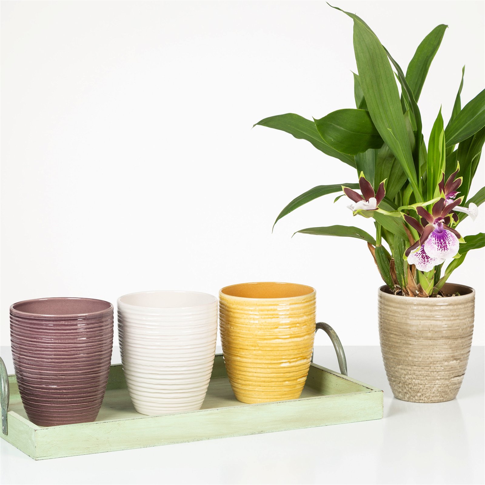 Orchideentopf aus Keramik, Elna, mit gerillter Oberfläche