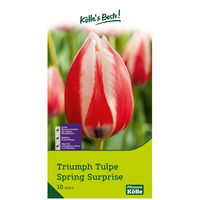 Kölle's Beste Tulpe 'Spring Surprise®', rotweiß, 10 Blumenzwiebeln