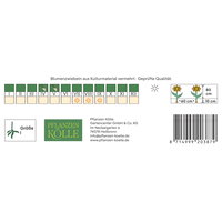 Kölles Beste Pompon-Dahlie 'Viking', rot, 1 Blumenknolle