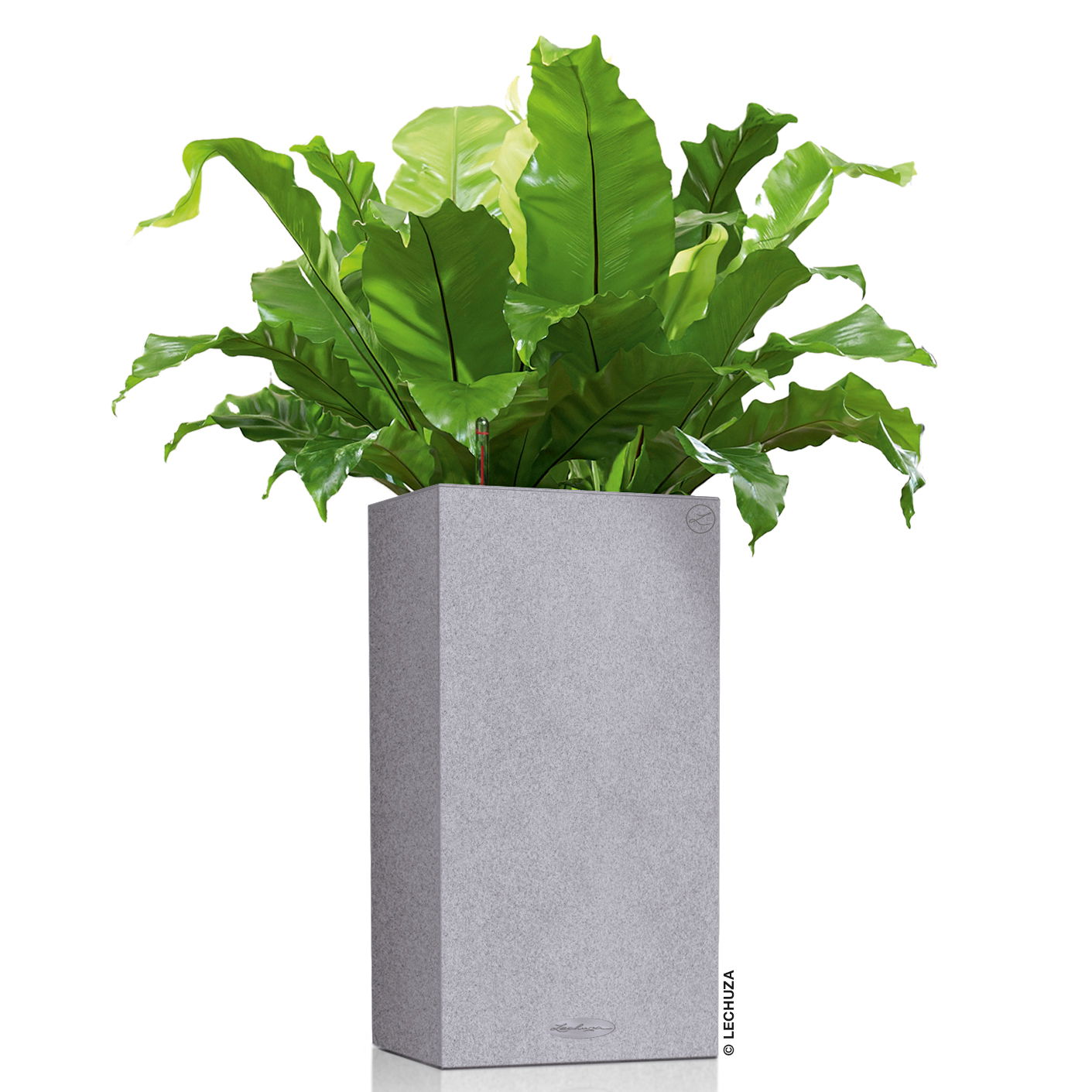 Lechuza 'Canto Stone 30 high', steingrau, 30 x 30 x H 56 cm