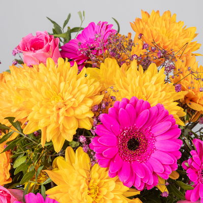 Blumenstrauß 'Prima' pink-orange, handgebunden Blumenstrauß 'Prima' pink-orange, handgebunden