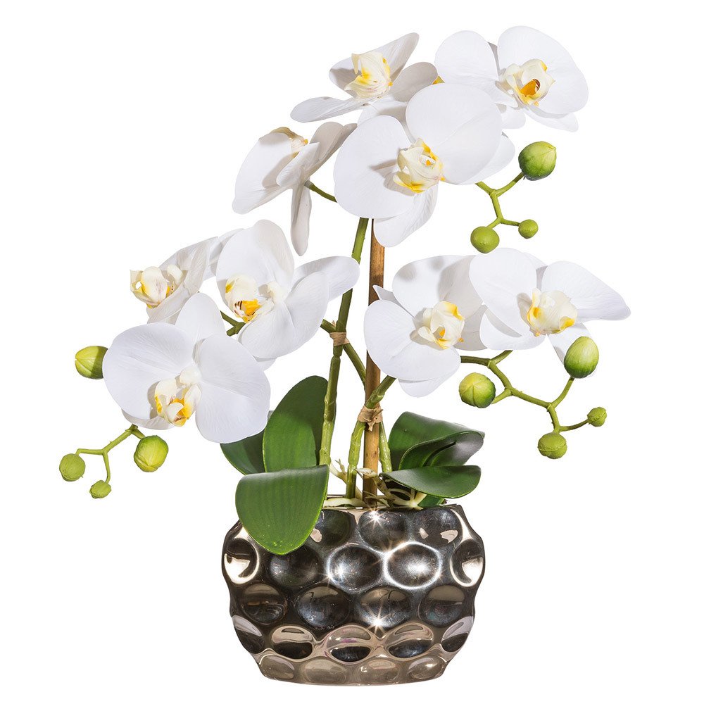 Kunstpflanze Phalaenopsis weiß, in silberfarbener Ovalvase, ca. 30 cm