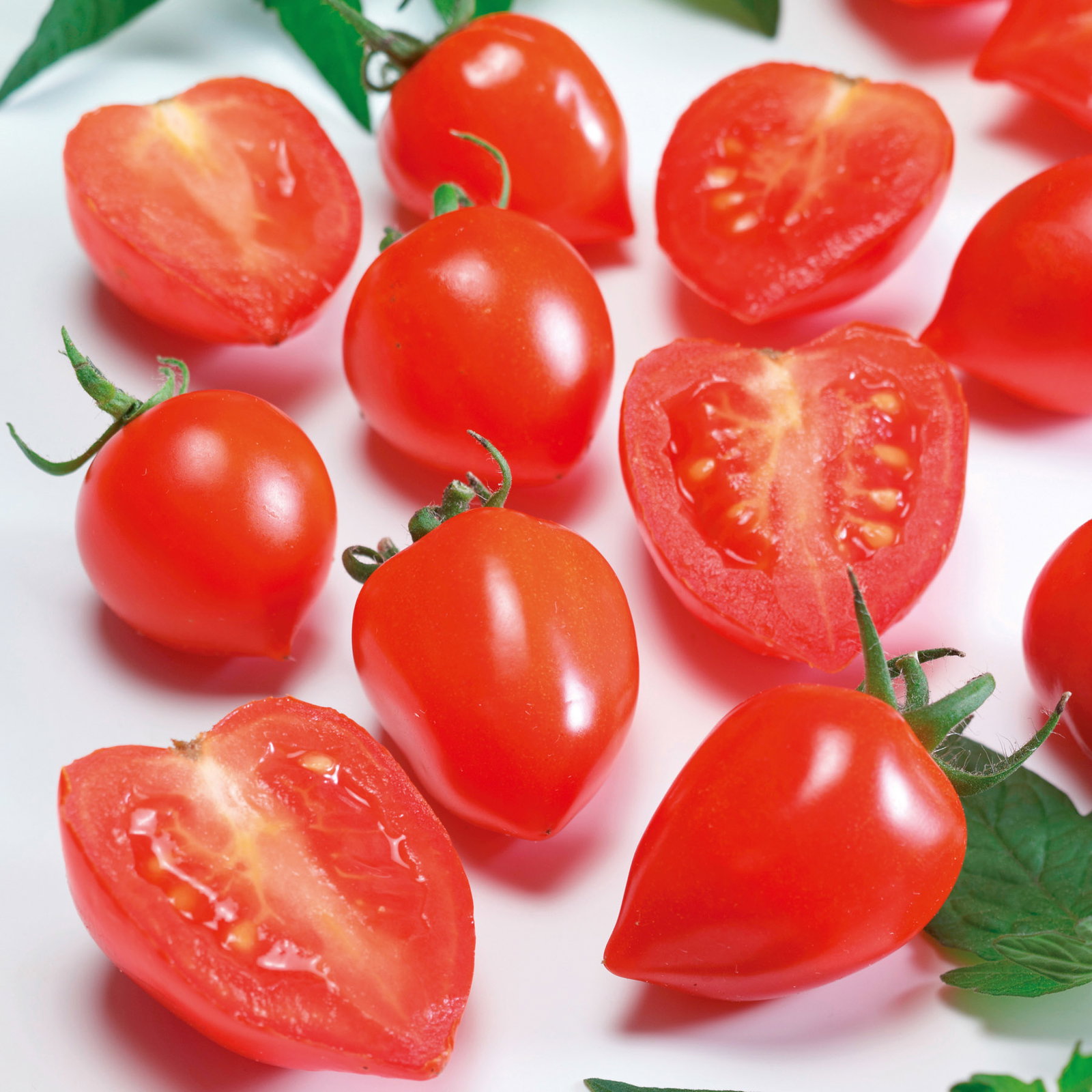 Bio Cocktailtomate 'Evita', Topf-Ø 12 cm, 3 Pflanzen