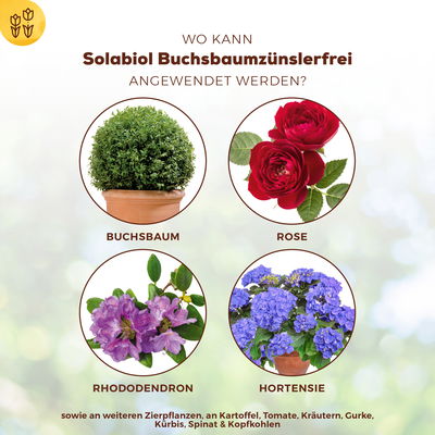 Buchsbaumzünsler-Schutz, 50 ml Buchsbaumzünsler-Schutz, 50 ml