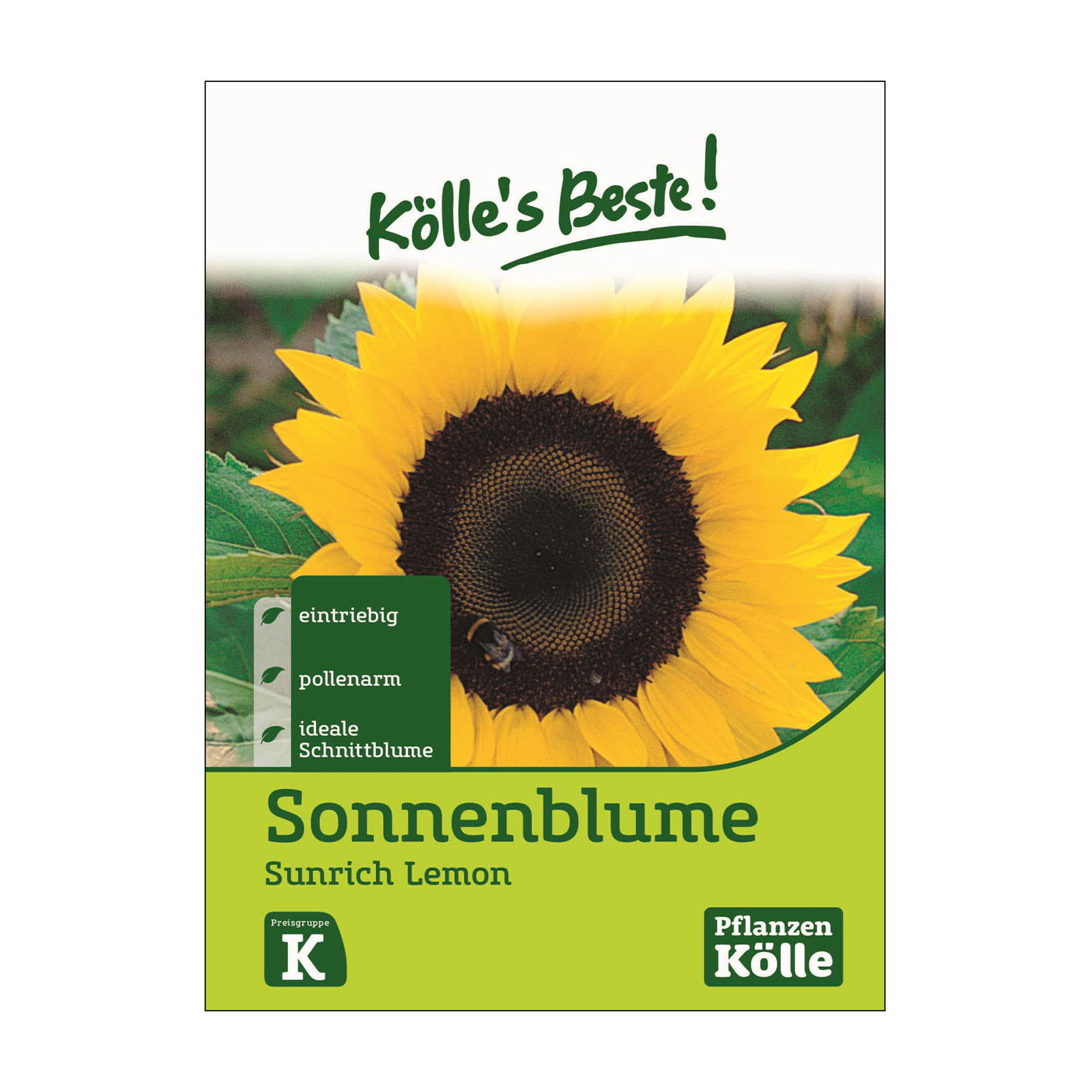 Kölle's Beste Sonnenblume 'Sunrich Lemon'