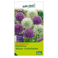 XXL Allium Mischung 'Riesenlauch Schönheiten', weiß, lila, 7 Blumenzwiebeln