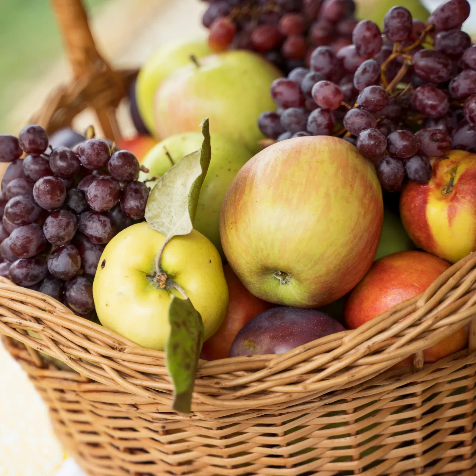 Kräuter, Obst & Gemüse Kräuter, Obst & Gemüse