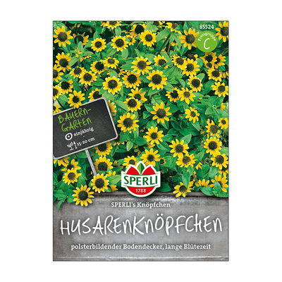 Blumensamen, Husarenknopf Knöpfchen Blumensamen, Husarenknopf Knöpfchen