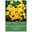 botanische Krokusse 'E. P. Bowles', gelb, 20 Blumenzwiebeln botanische Krokusse 'E. P. Bowles', gelb, 20 Blumenzwiebeln