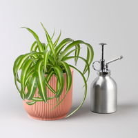 Grünlilie 'Bonnie', Topf-Ø 12 cm, inkl. Übertopf Vibes rosa, 2 Pflanzen Grünlilie 'Bonnie', Topf-Ø 12 cm, inkl. Übertopf Vibes rosa, 2 Pflanzen