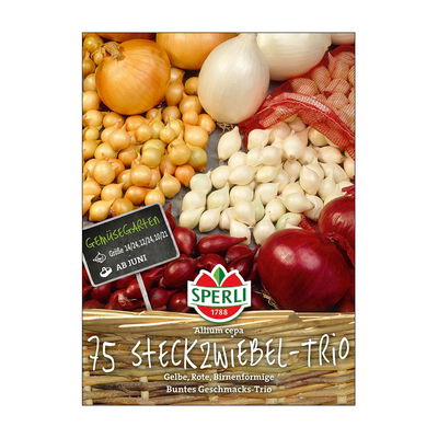 Steckzwiebel-Trio, gelb, rot, 75 Zwiebeln