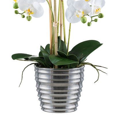 Kunstpflanze Phalaenopsis, weiß/silber, Höhe ca. 62 cm Kunstpflanze Phalaenopsis, weiß/silber, Höhe ca. 62 cm