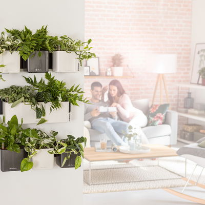 Lechuza 'Cube Glossy 14', weiß, ca. 14 x 14 x H 13,5 cm