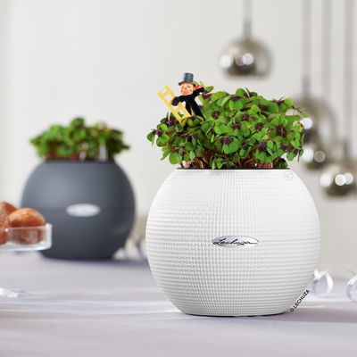 Lechuza 'Puro Color 20', schiefergrau, ca. Ø 20 x H 16 cm