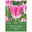 Triumph Tulpen Royal Ten weiß/pink, 7 Blumenzwiebeln