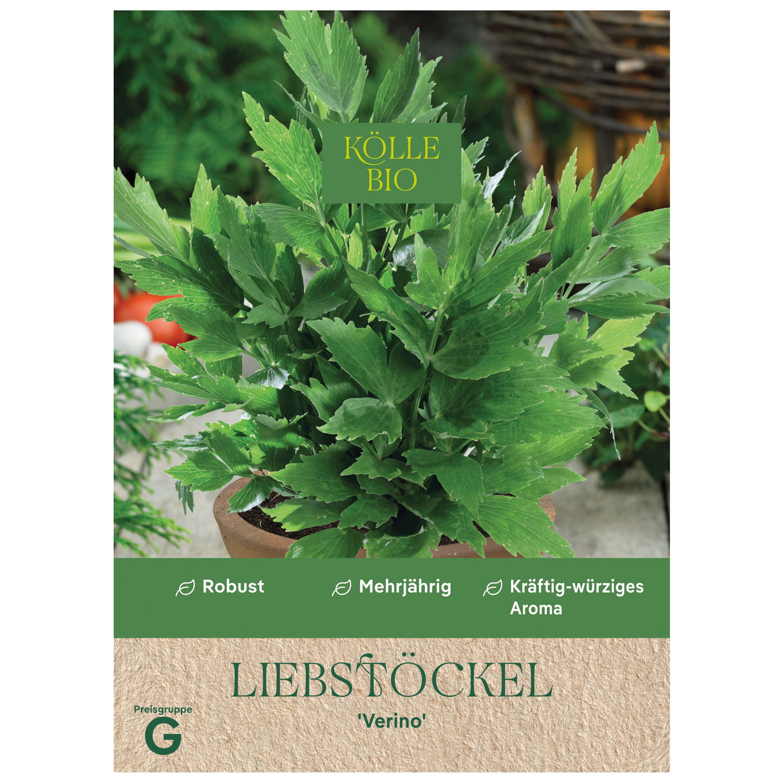 Kölle Bio Kräutersamen, Liebstöckel 'Verino'