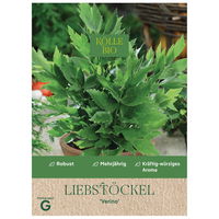 Kölle Bio Kräutersamen, Liebstöckel 'Verino'