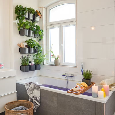 Lechuza 'Green Wall Home Kit Glossy', anthrazit highgloss