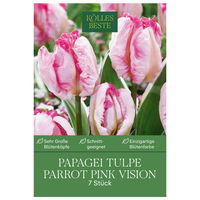 Papageien-Tulpen 'Parrot Pink Vision', rosa, 7 Blumenzwiebeln