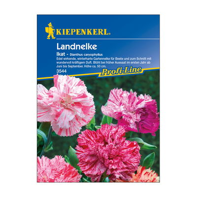 Blumensamen, Nelken 'Ikat', rosa Blumensamen, Nelken 'Ikat', rosa