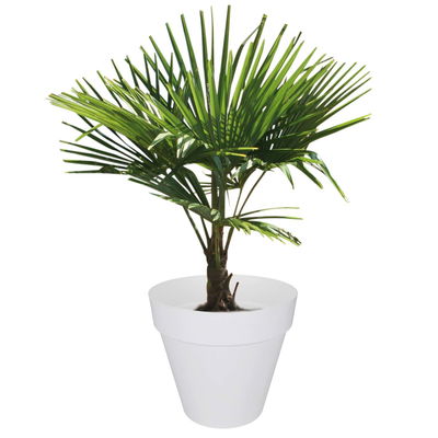 Elho Pflanzgefäß 'Loft Urban round 20', weiß, ca. Ø 19,6 x H 17,7 cm