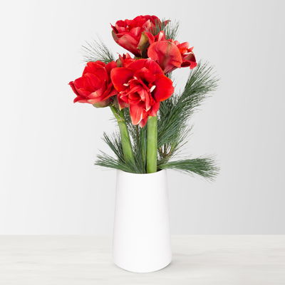 Schnittblumen-Mix aus 3 rot gefüllten Amaryllis & 3 Seidenkiefer Schnittblumen-Mix aus 3 rot gefüllten Amaryllis & 3 Seidenkiefer