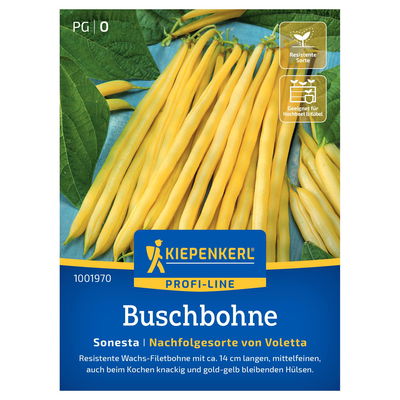 Kiepenkerl Saatgut Buschbohne 'Sonesta', gelb Kiepenkerl Saatgut Buschbohne 'Sonesta', gelb