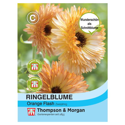 Ringelblume „Orange Flash“ (Calendula officinalis) Ringelblume „Orange Flash“ (Calendula officinalis)