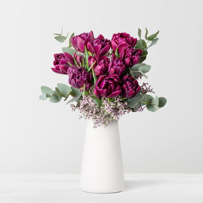 Tulpen Schnittblumen-Mix, lila Tulpen Schnittblumen-Mix, lila