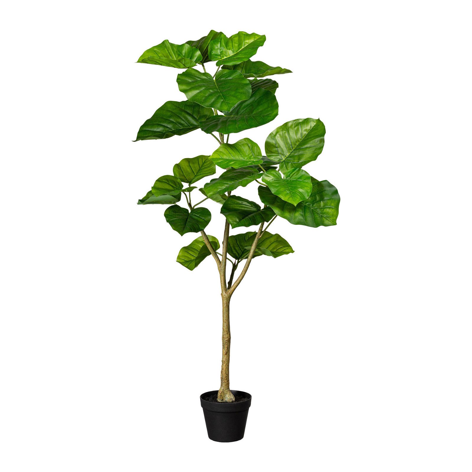 Kunstpflanze Ficus umbellata, Höhe ca. 125 cm