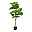 Kunstpflanze Ficus umbellata, Höhe ca. 125 cm
