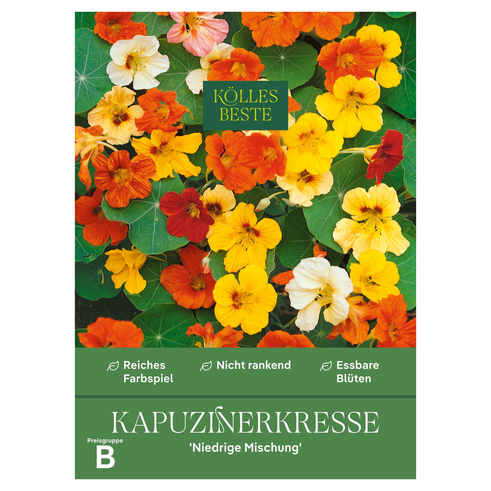 Kölles Beste Blumensamen, Kapuzinerkresse 'Niedrige Mischung'